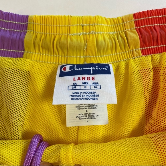 Champion Multicolor Striped Swim Shorts with Mesh Lining Size Large - Picture 8 of 10